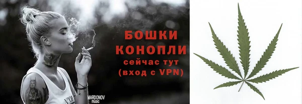 ГАЛЛЮЦИНОГЕННЫЕ ГРИБЫ Абаза